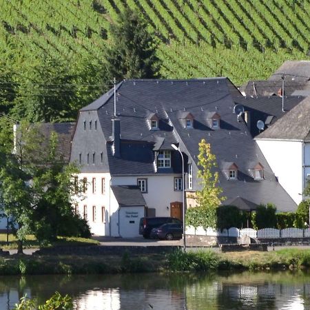 Haart & Soul Guesthouse Piesport Exterior photo
